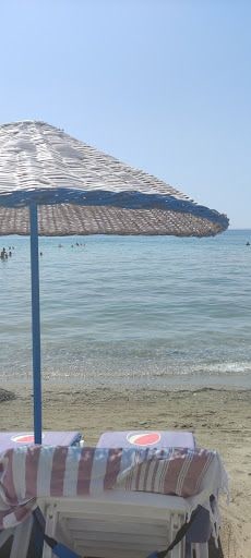 Fotoğraf 17
