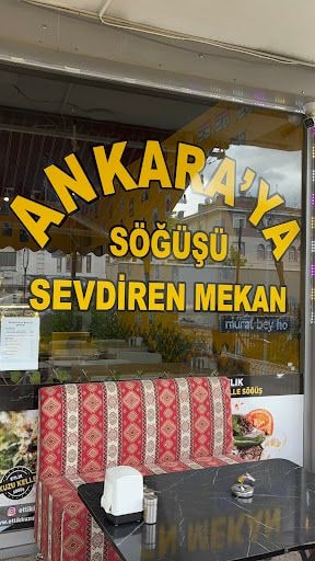 Yorum fotoğrafı 9