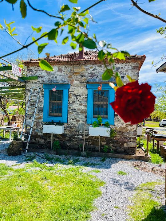 Yorum fotoğrafı 4