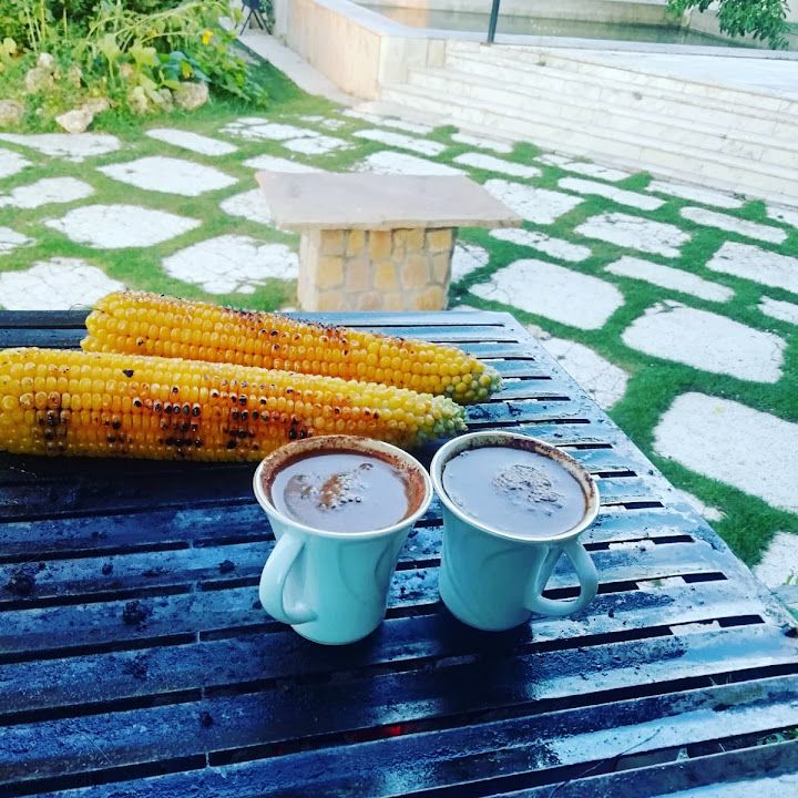 Fotoğraf 7