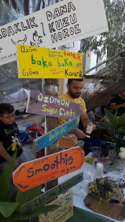 Fotoğraf 16