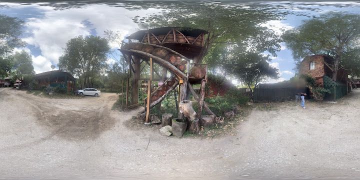Fotoğraf 34