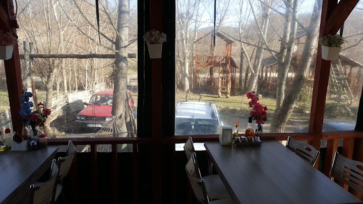 Fotoğraf 24