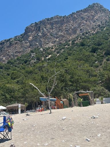 Yorum fotoğrafı 4