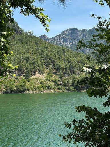 Fotoğraf 36