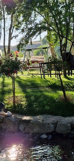 Yorum fotoğrafı 8