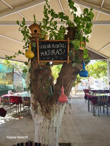 Fotoğraf 14