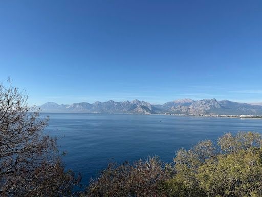 Fotoğraf 15