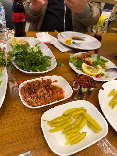 Fotoğraf 45
