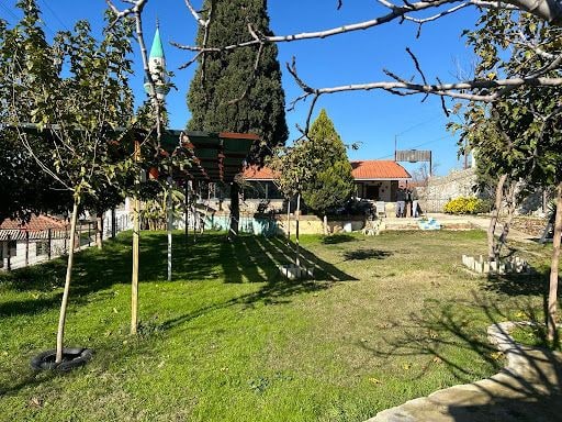 Fotoğraf 20