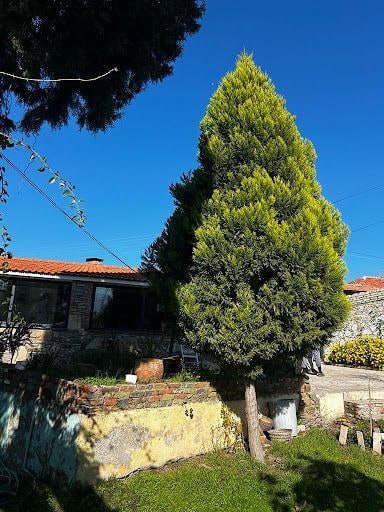 Fotoğraf 21