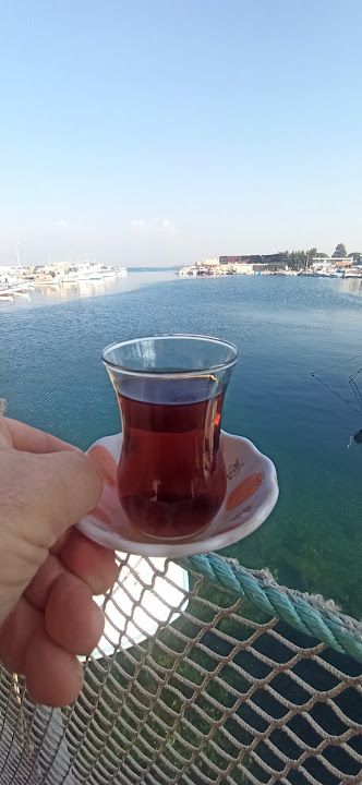 Fotoğraf 33