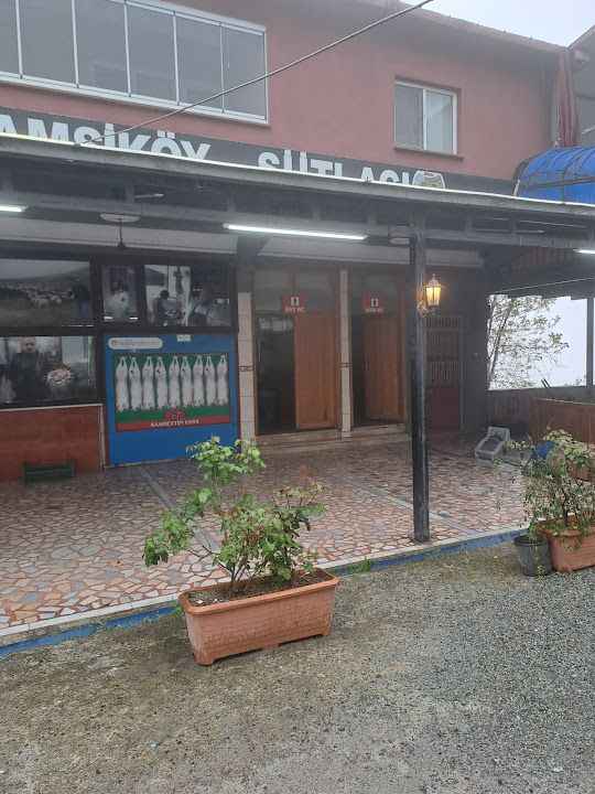 Yorum fotoğrafı 3