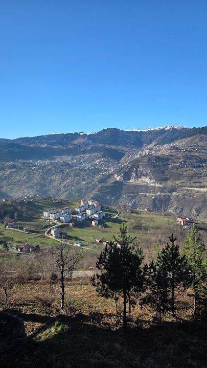 Yorum fotoğrafı 3