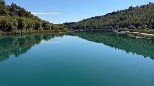 Yorum fotoğrafı 8