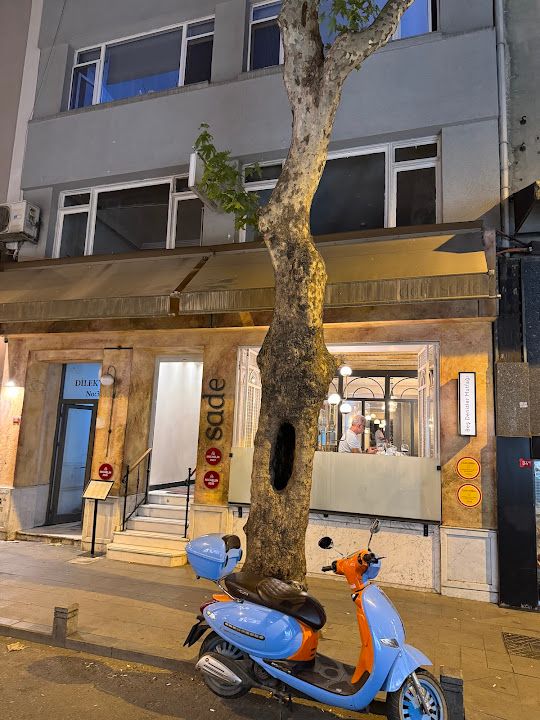 Fotoğraf 72