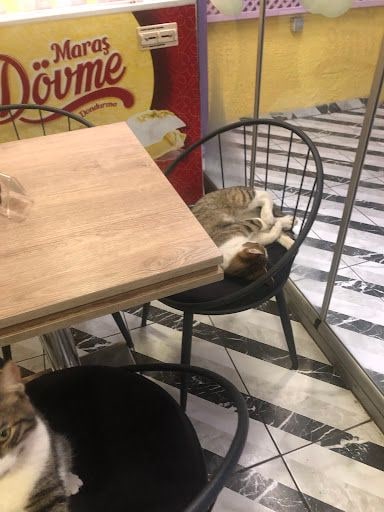 Yorum fotoğrafı 2