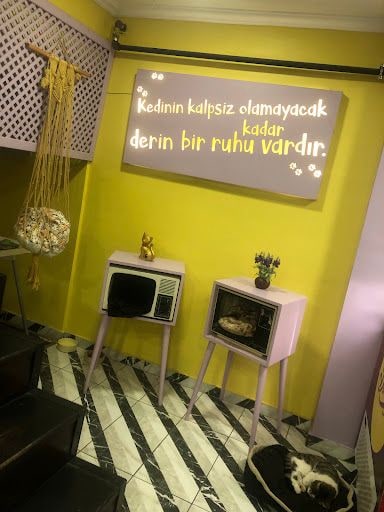Yorum fotoğrafı 5