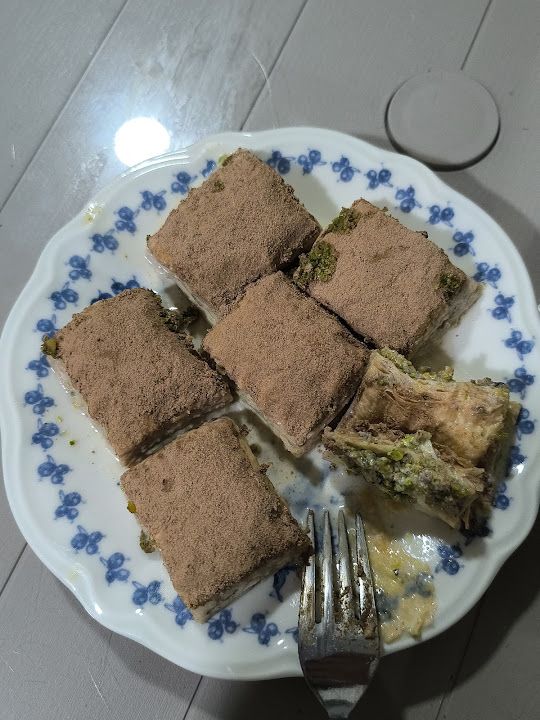 Fotoğraf 15