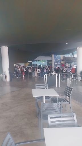 Fotoğraf 15