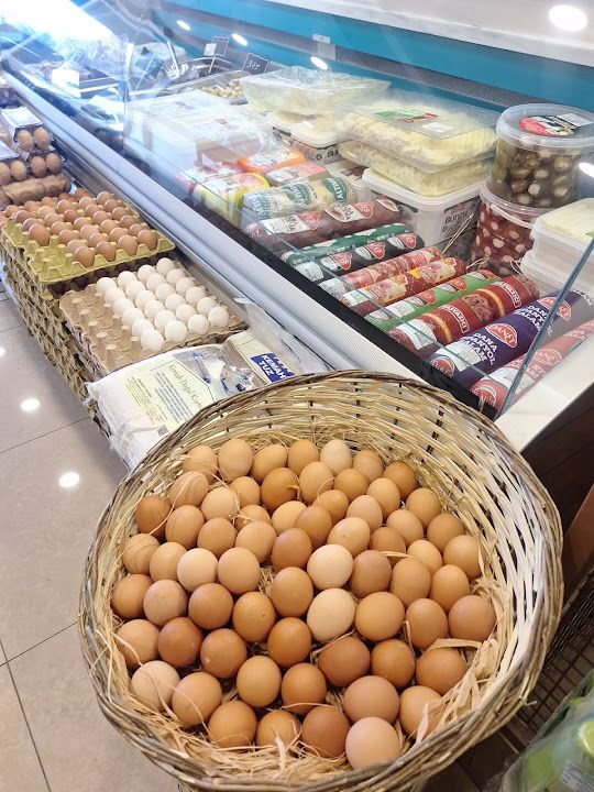Fotoğraf 17