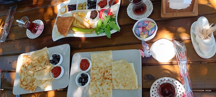 Fotoğraf 42