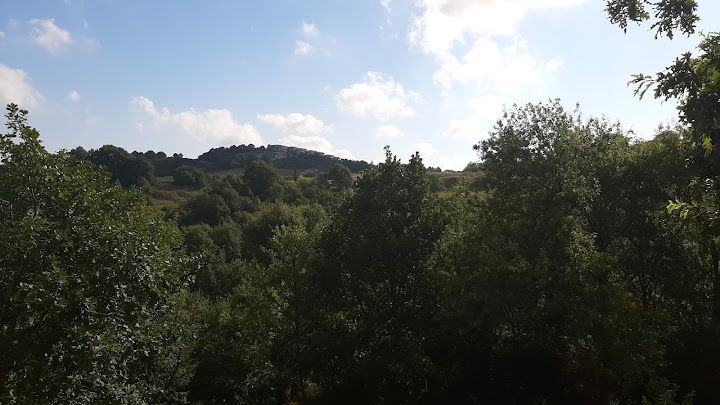 Fotoğraf 58