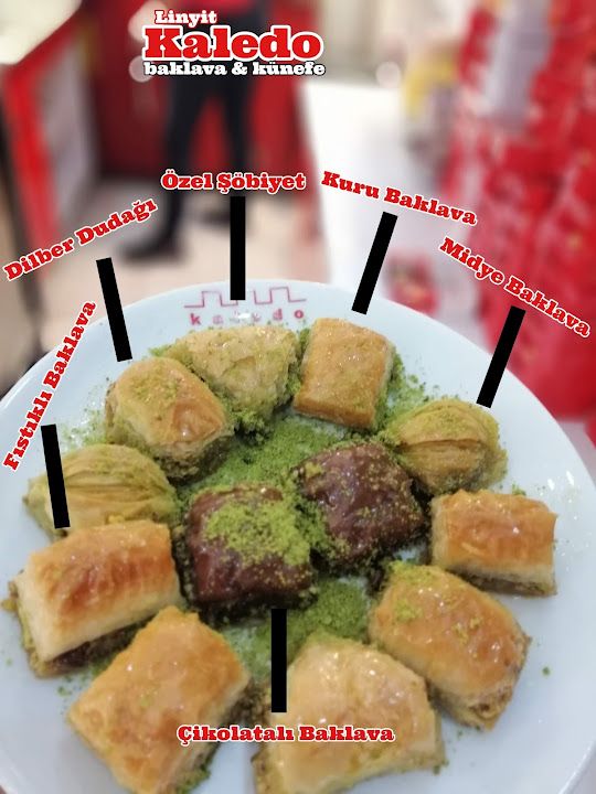 Fotoğraf 15