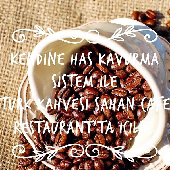 Fotoğraf 14