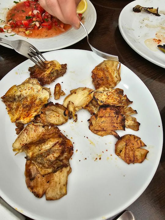 Fotoğraf 19