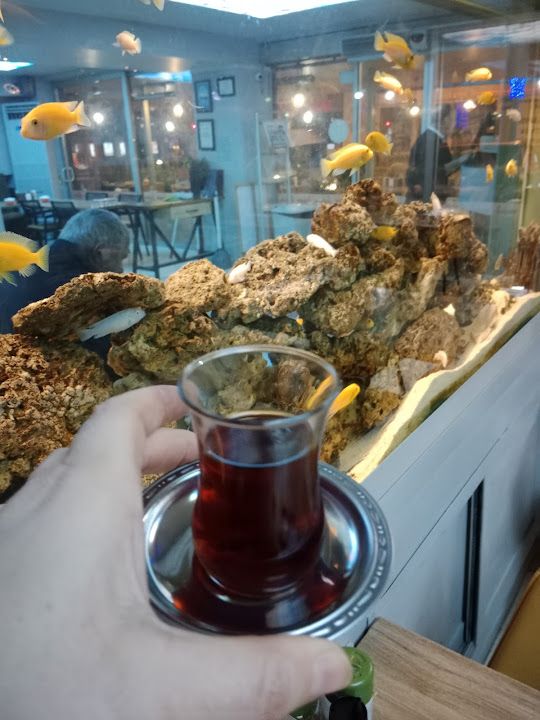 Fotoğraf 20