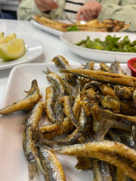 Fotoğraf 26