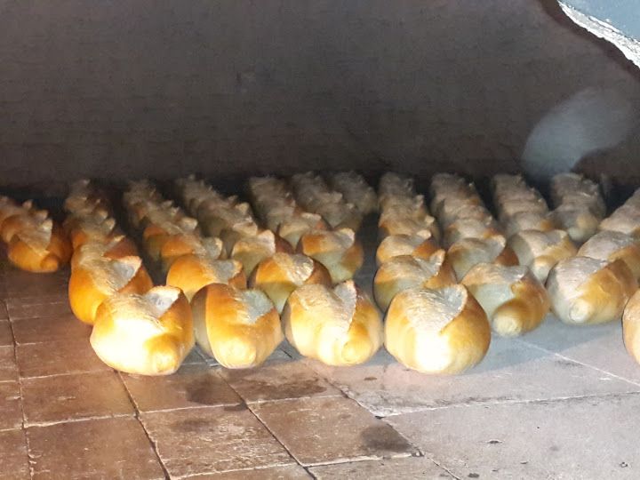 Fotoğraf 16