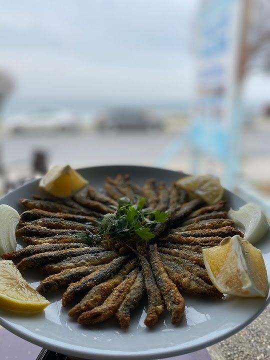 Fotoğraf 15