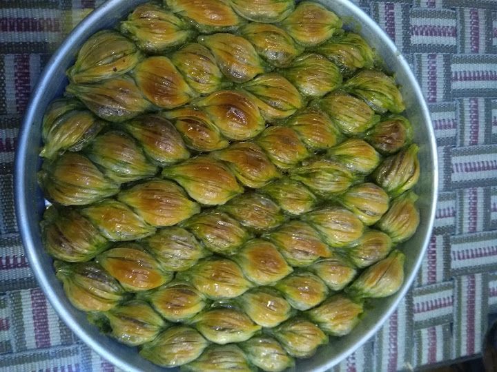 Fotoğraf 15