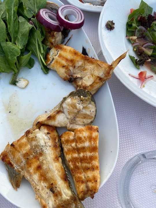 Fotoğraf 35