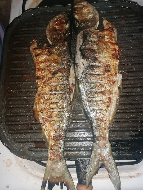 Fotoğraf 15
