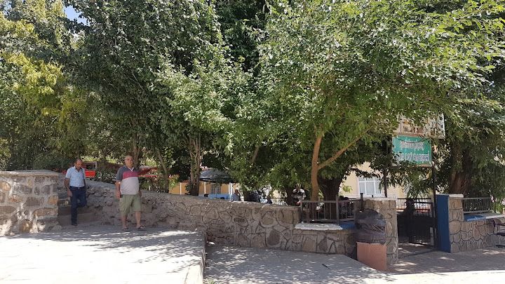 Yorum fotoğrafı 4