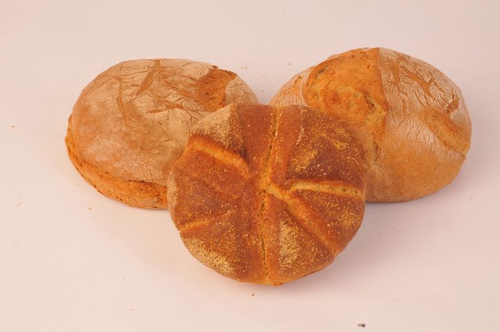 Fotoğraf 14