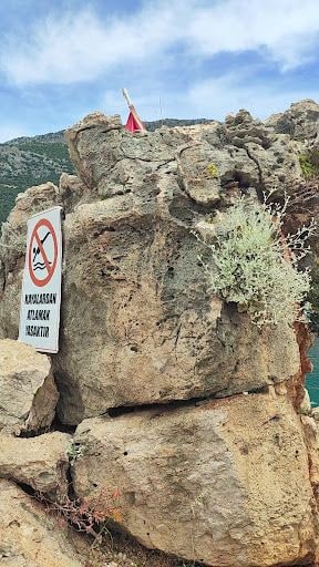 Yorum fotoğrafı 4