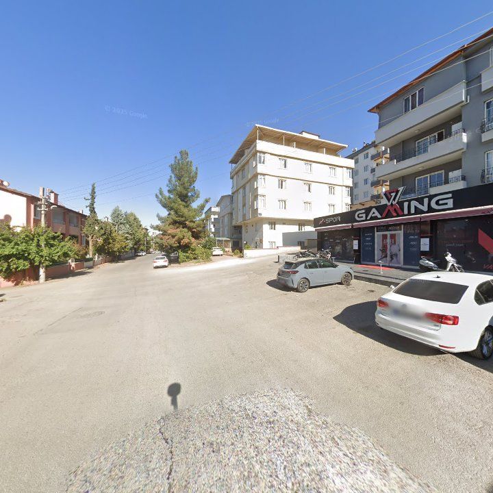 Fotoğraf 11