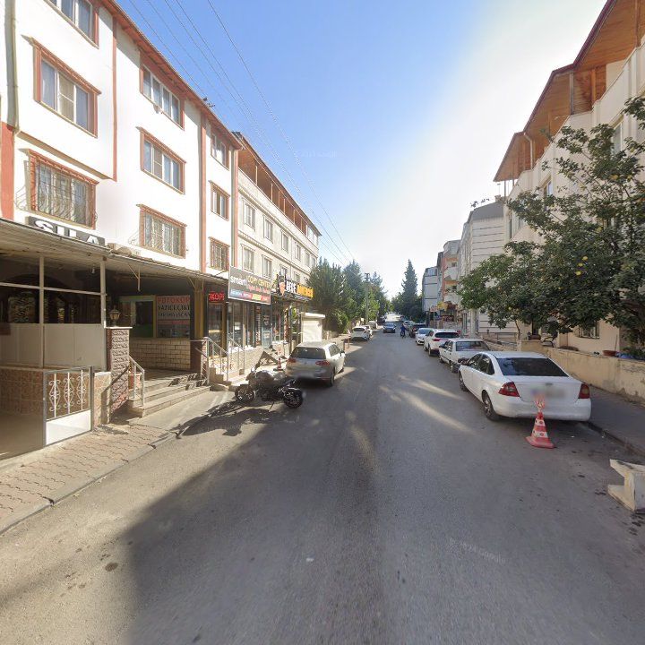 Fotoğraf 7