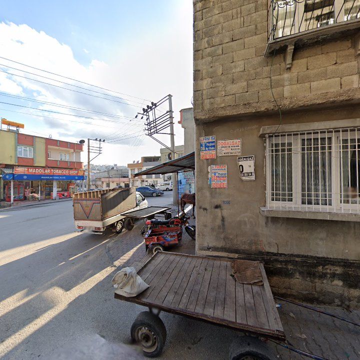Fotoğraf 4