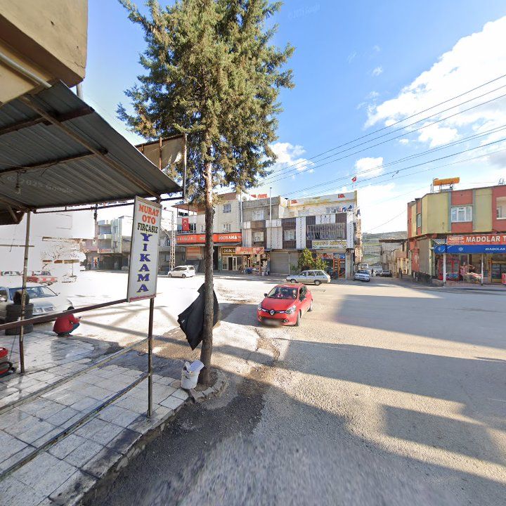 Fotoğraf 3