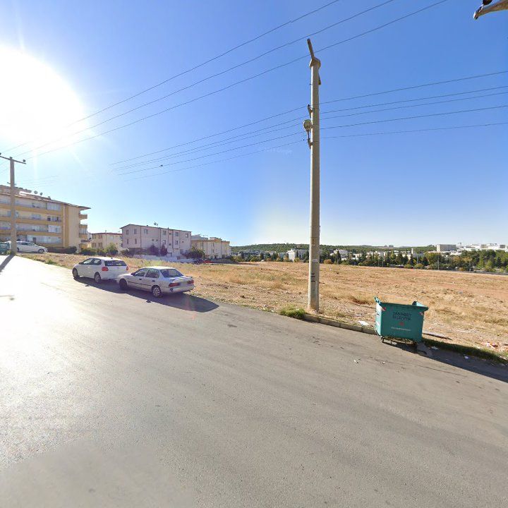 Fotoğraf 9