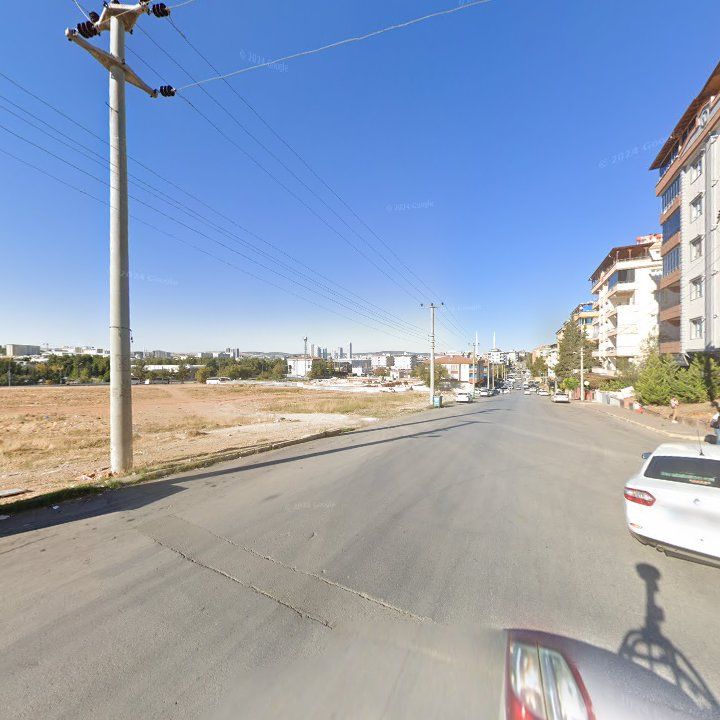 Fotoğraf 10