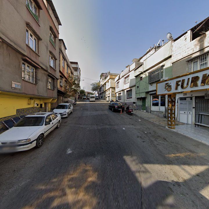 Fotoğraf 7