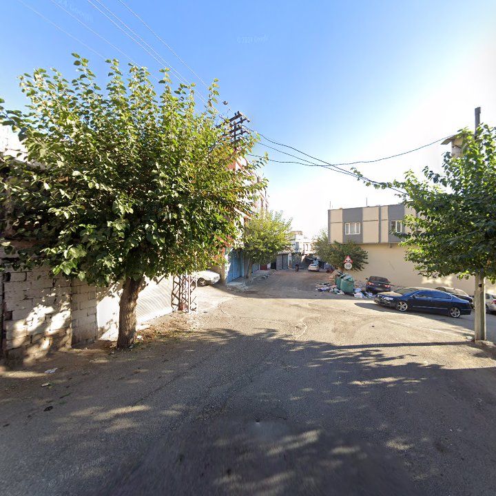 Fotoğraf 5