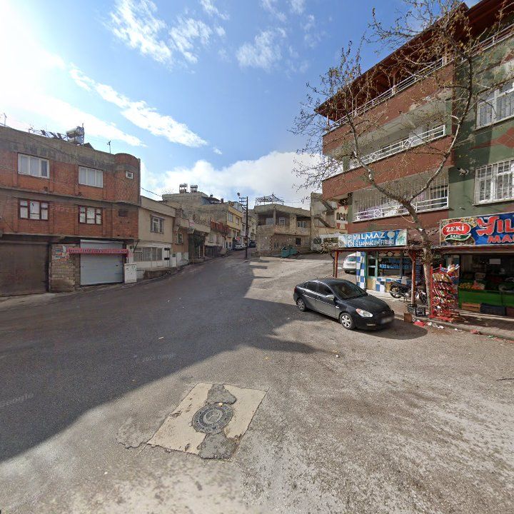 Fotoğraf 7