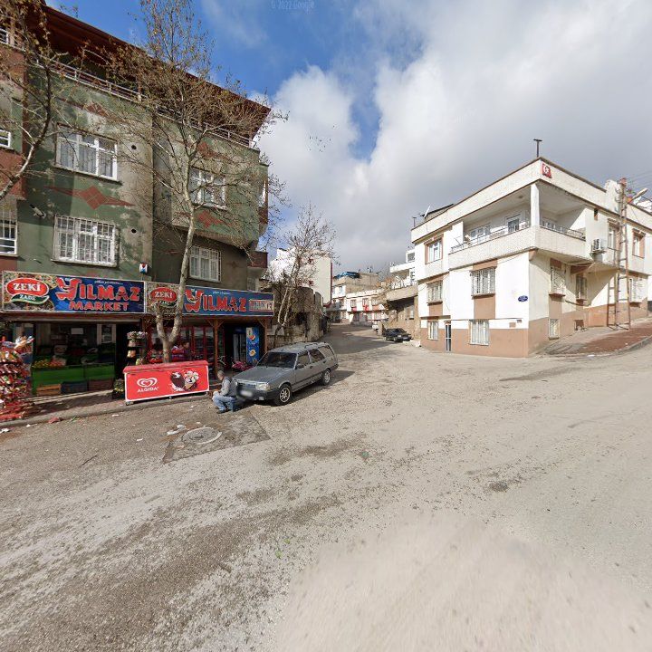Fotoğraf 8